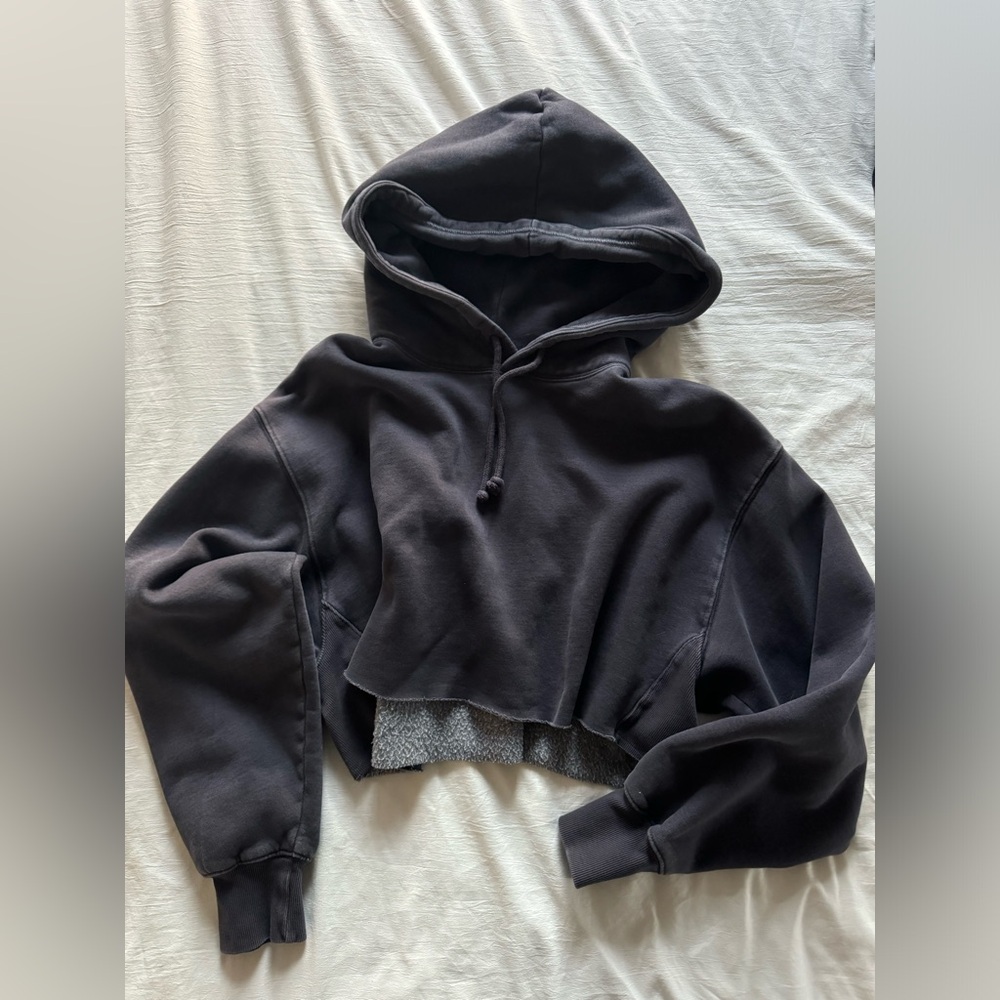 Aritzia | Tna Cropped Boyfriend Hoodie